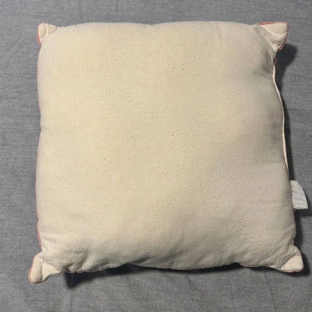 Acid Wash Velvet Throw Pillows - Set of 2 (Used, Unknown Brand)